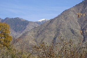 Reste von Bergwald um Sakargah